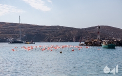 Open Sea Swimming v.2_169